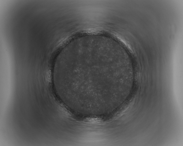 X0000111810689200908201111