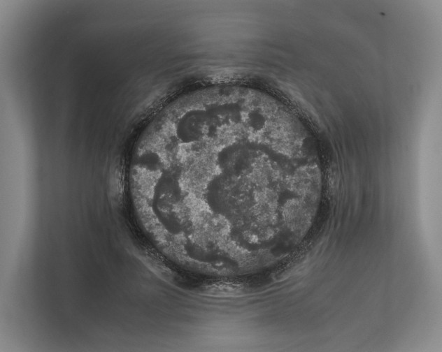 X0000111810691200908201111