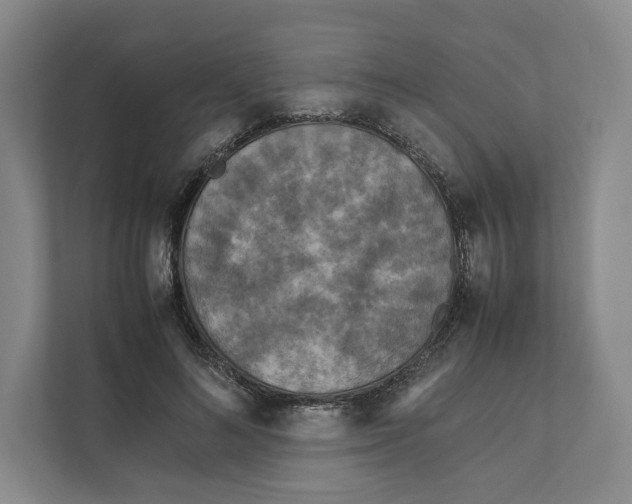 X0000111810692200908201111