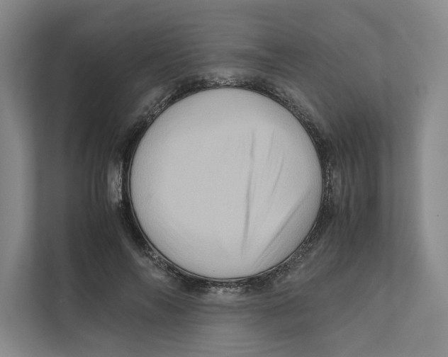X0000111810694200908201111