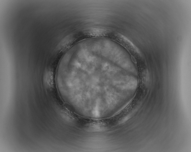 X0000111810696200908201111