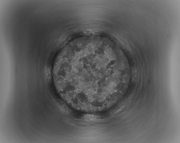 X0000111810699200908201111
