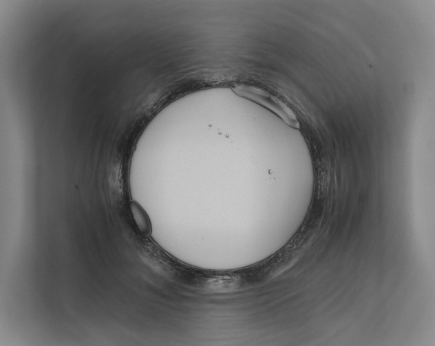 X0000111810700200908201111