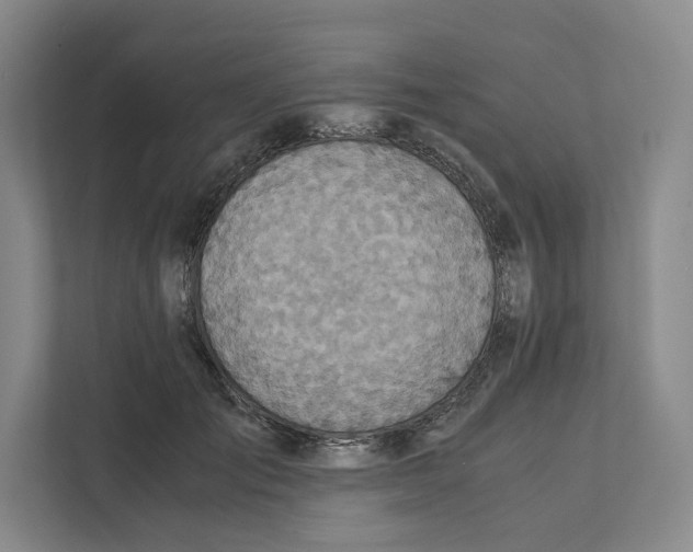 X0000111810701200908201111