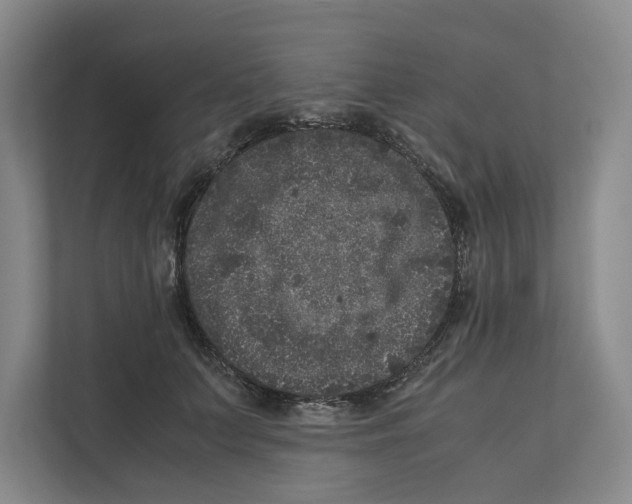 X0000111810703200908201111