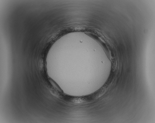 X0000111810704200908201111