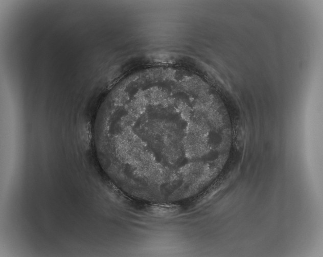 X0000111810707200908201110