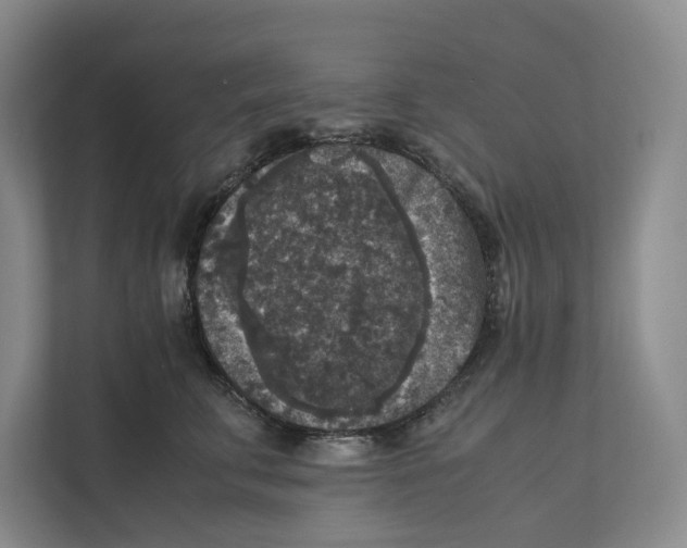 X0000111810711200908201110