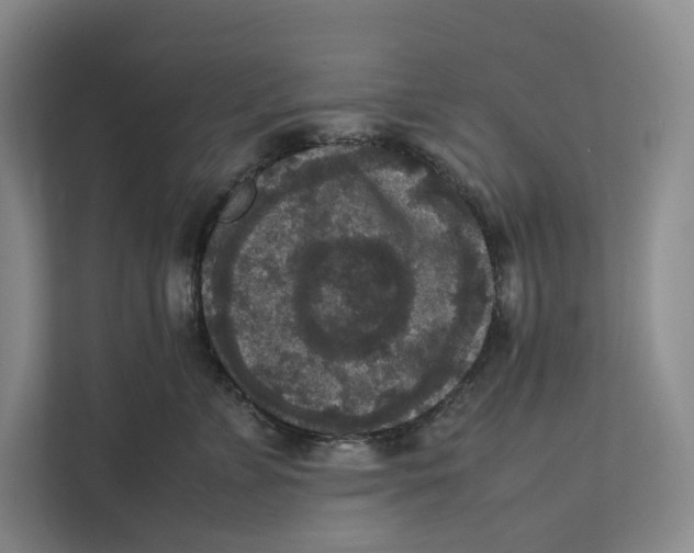 X0000111810715200908201110