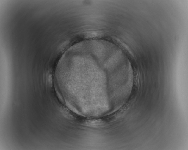 X0000111810716200908201110