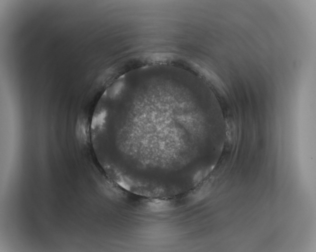 X0000111810718200908201110