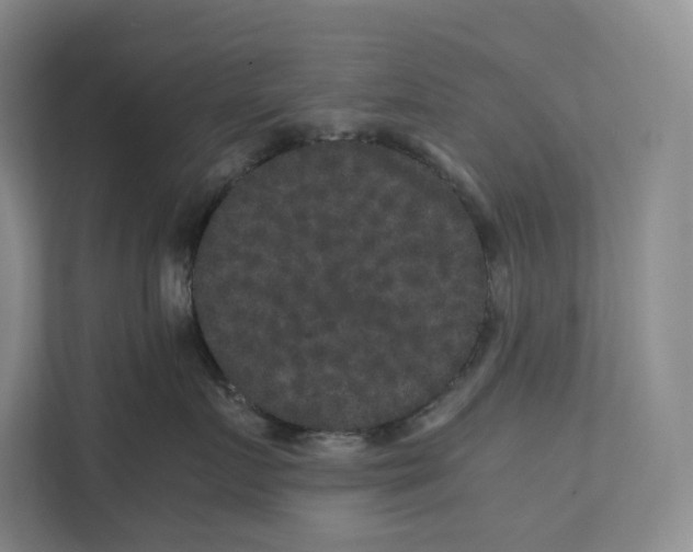X0000111810719200908201110