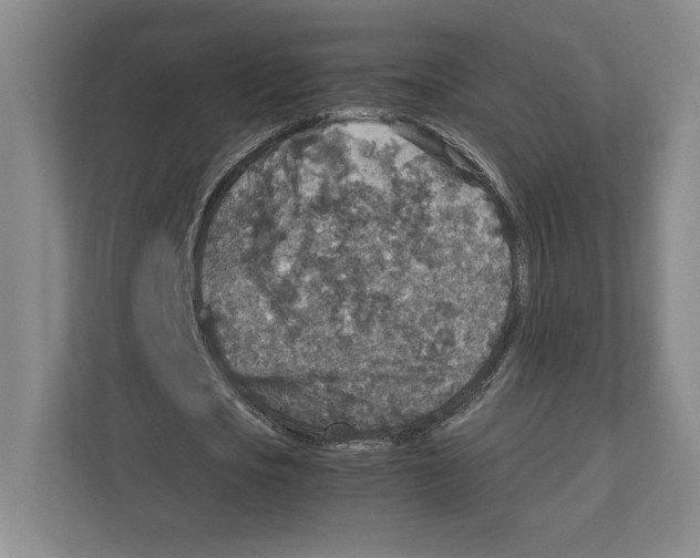 X0000111810721200908201110