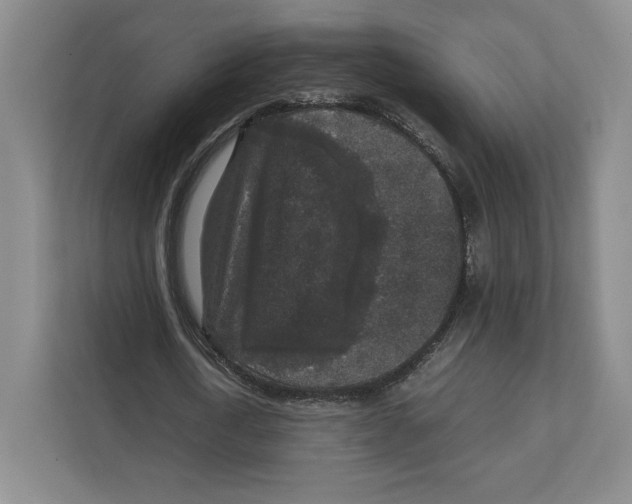 X0000111810722200908201110