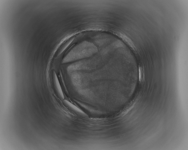 X0000111810723200908201110