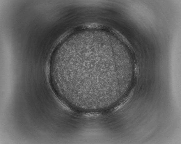 X0000111810725200908201110