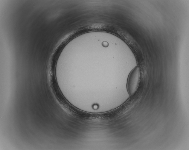 X0000111810728200908201110