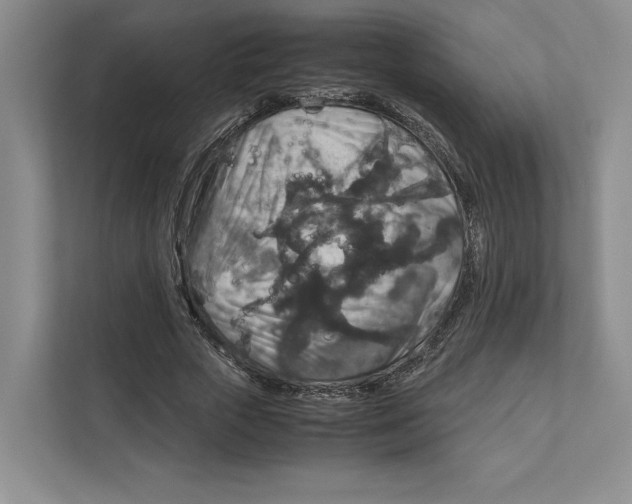 X0000111810729200908201110