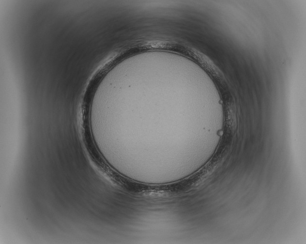 X0000111810730200908201110