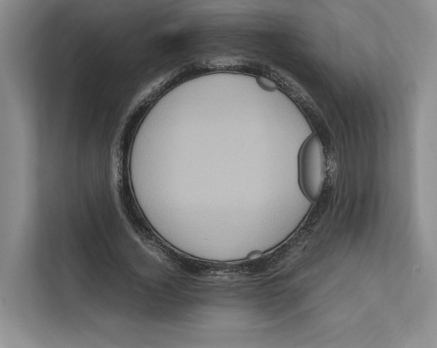 X0000111810732200908201110