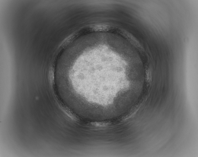 X0000111810733200908201110