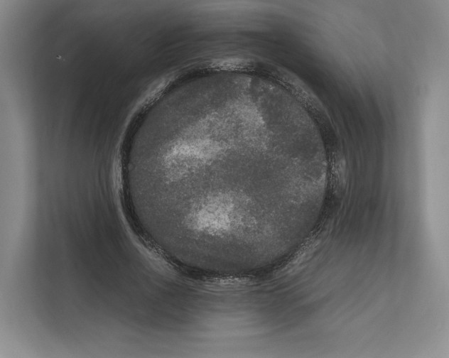 X0000111810734200908201110