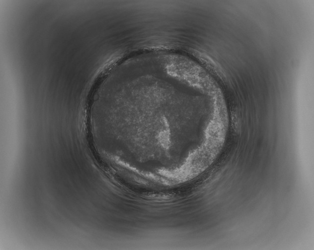 X0000111810735200908201110