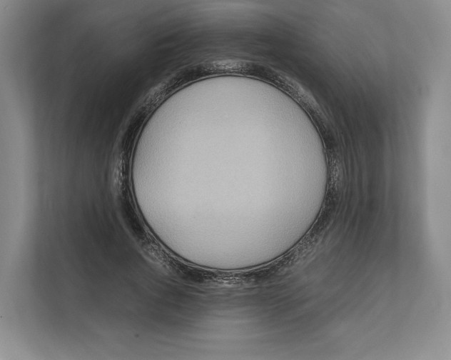 X0000111810736200908201110