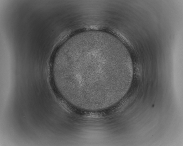 X0000111810738200908201110