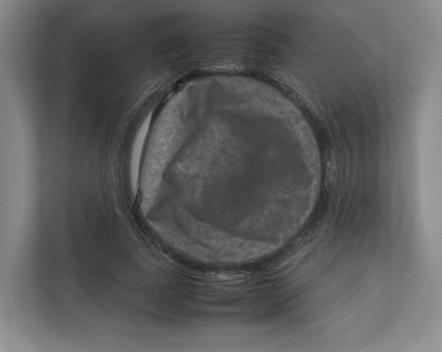 X0000111810739200908201110