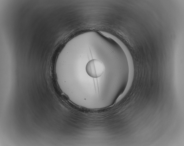X0000111810740200908201110