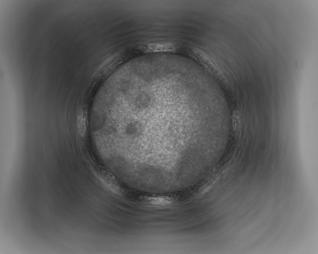 X0000111810741200908201110