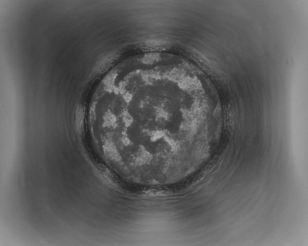 X0000111810742200908201110