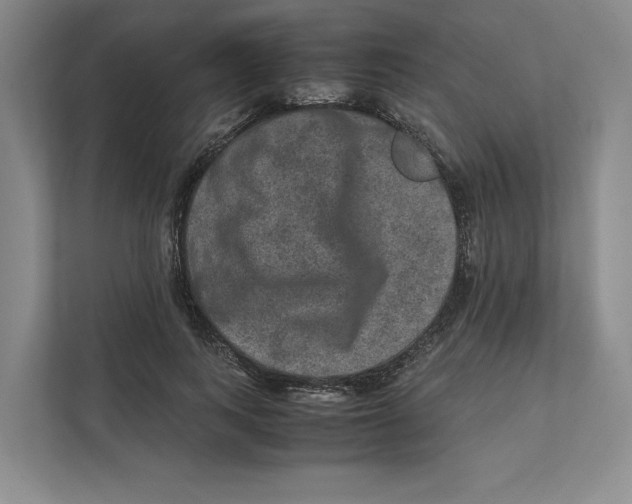 X0000111810743200908201110