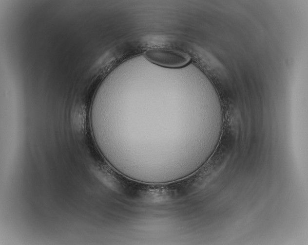 X0000111810744200908201110