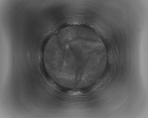 X0000111810747200908201110