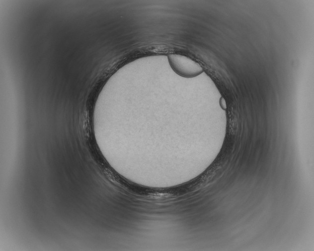 X0000111810748200908201110