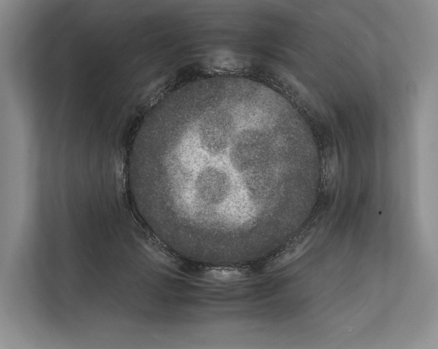 X0000111810749200908201110