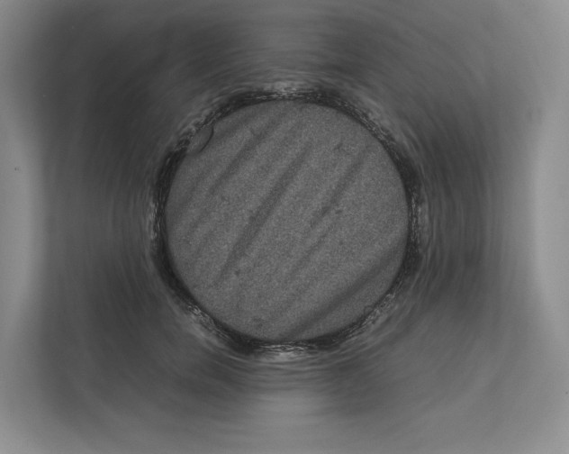 X0000111810750200908201110