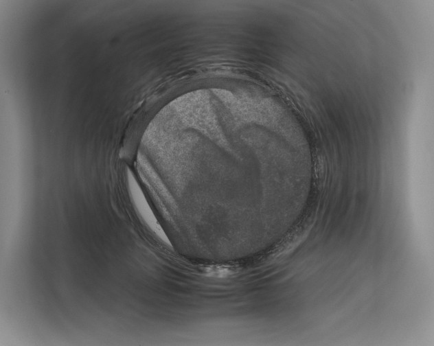 X0000111810751200908201110