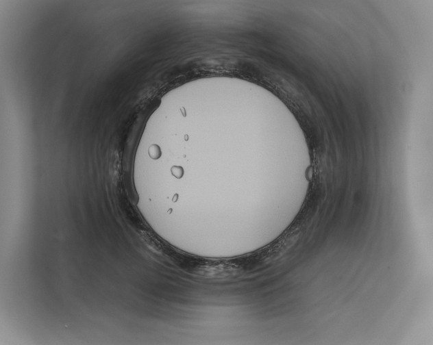 X0000111810752200908201110
