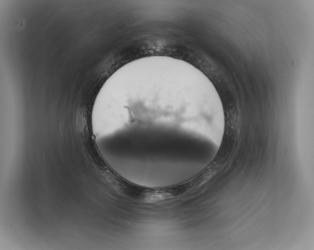 X0000111810754200908201110