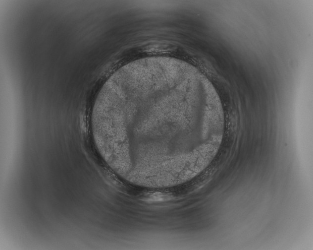 X0000111810755200908201110