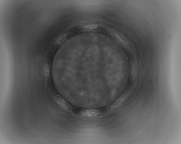 X0000111810758200908201110