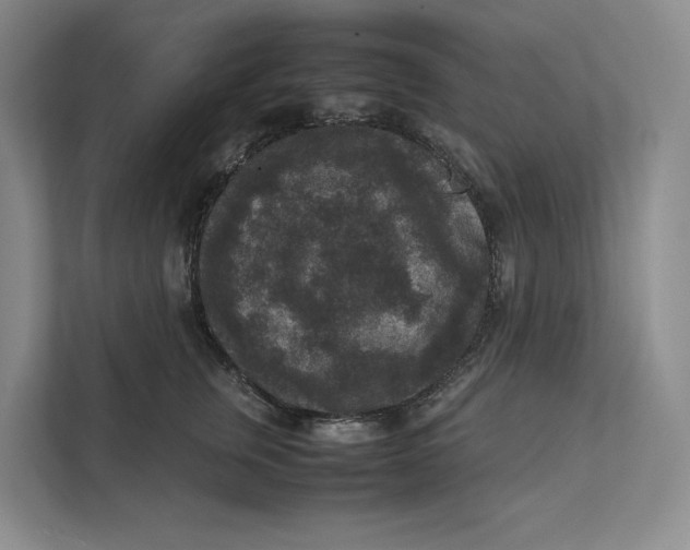 X0000111810759200908201110