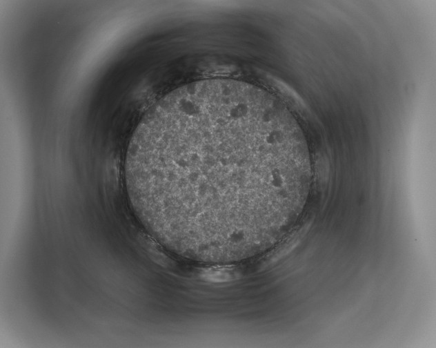 X0000111810761200908201110