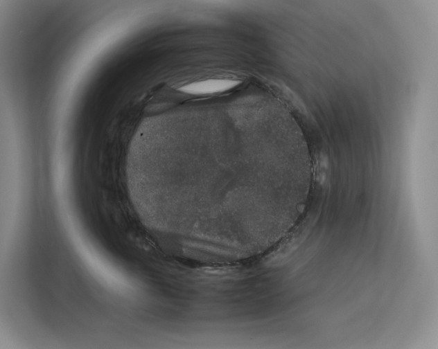 X0000111810763200908201110