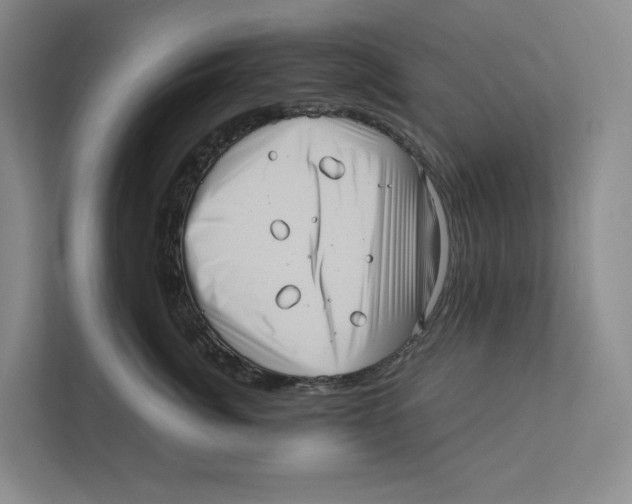 X0000111810764200908201110