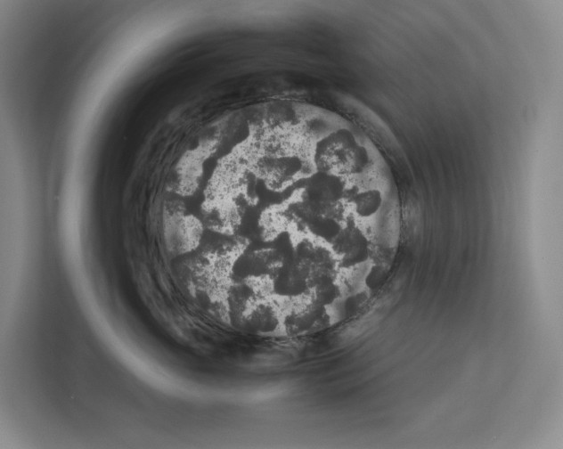 X0000111810765200908201110