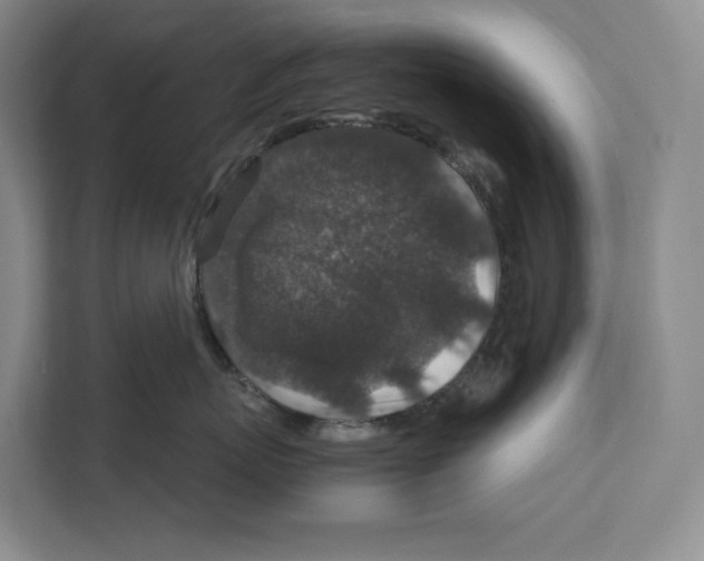 X0000111810767200908201110